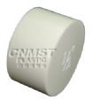 Plastic NPT End Cap(MST205)